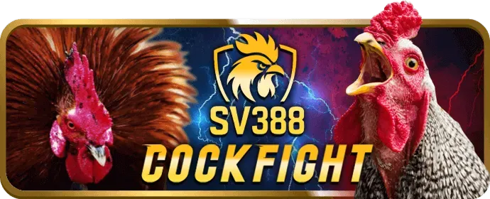 Chính sách bảo mật noho90 win